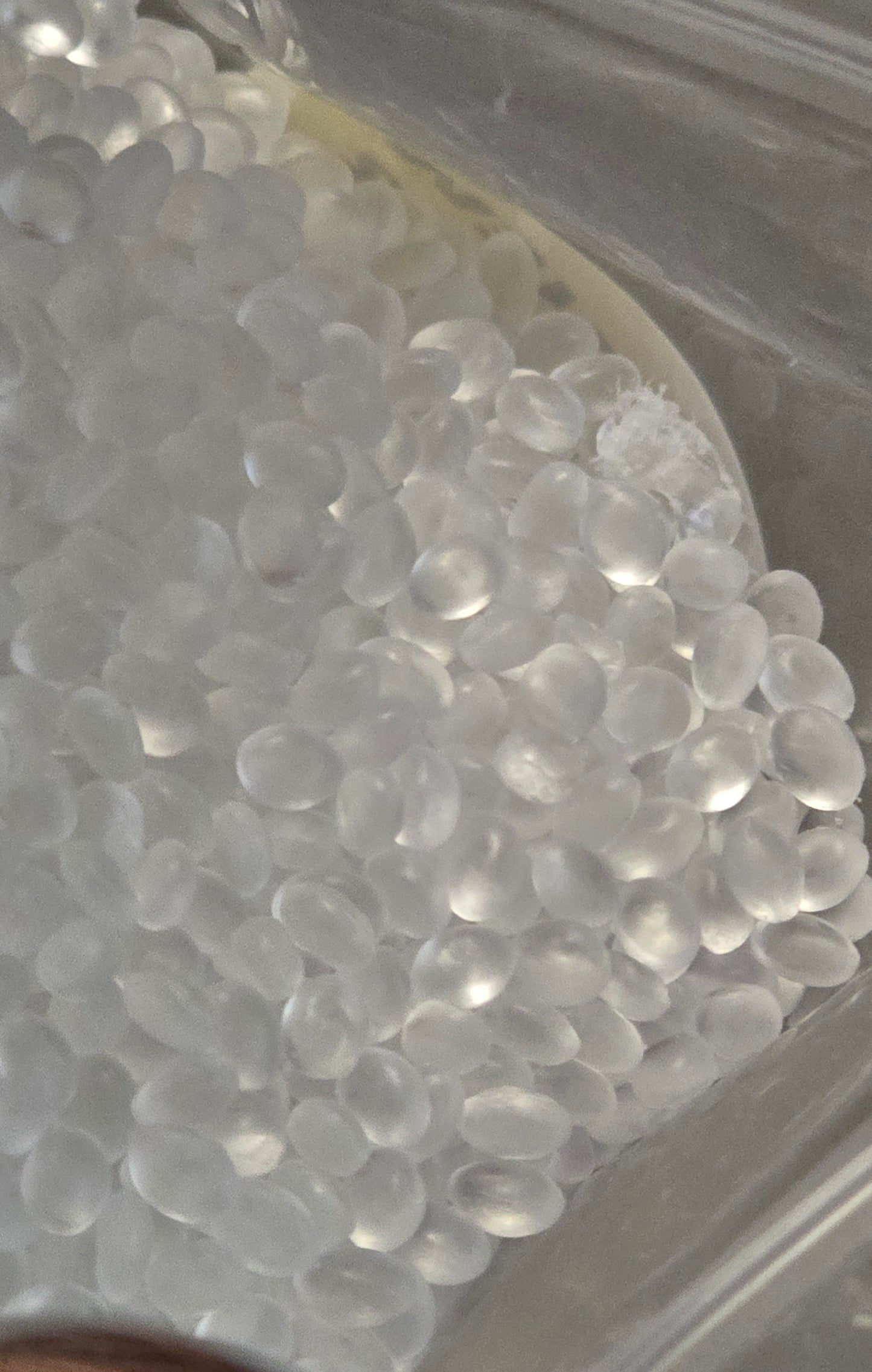 Leather and coconut scented Aroma beads