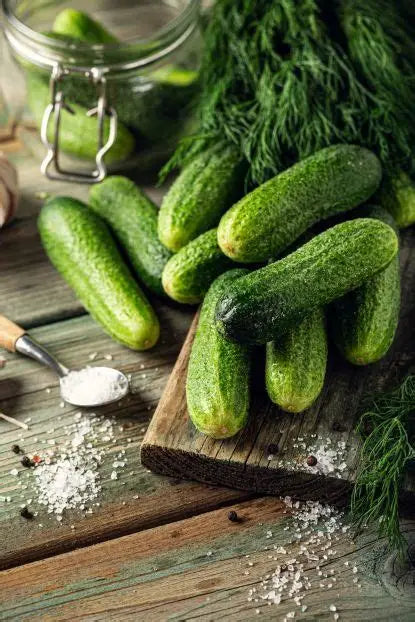 Dill pickle fragrance oil