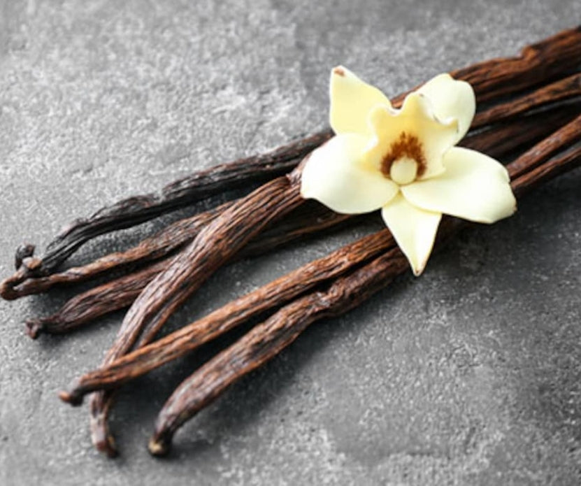 Extreme vanilla Fragrance Oil