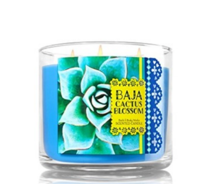 Baja cactus Bbw type Fragrance oil