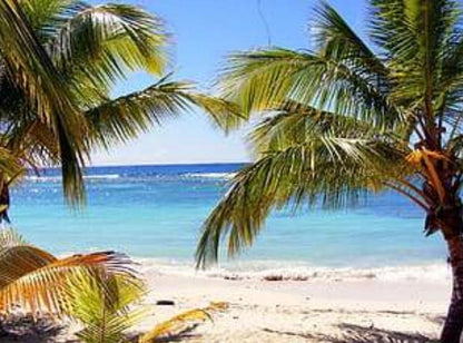 Waikiki beach coconut bbw type   fragrance oil